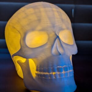 3D printed Skull lamp lit up