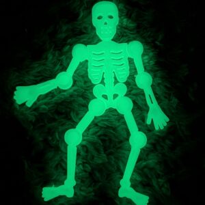 Glow in the Dark Skeleton in the dark glowing an erie green